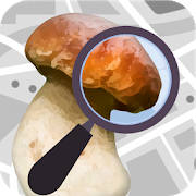Mushroom Identify – Automatic picture recognition