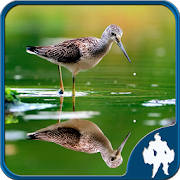 Reflection Jigsaw Puzzles Reflection Jigsaw Puzzles
