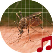Mosquito Sounds Mosquito Sounds