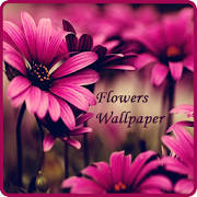 Flowers Wallpaper Flowers Wallpaper
