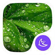 Dewdrop theme for APUS Dewdrop theme for APUS