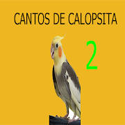 Cantos de calopsita 2 Cantos de calopsita 2