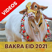 Bakra Eid 2021 – Mandi Video Updates Bakra Eid 2021 – Mandi Video Updates