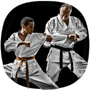 Karate Training Guide