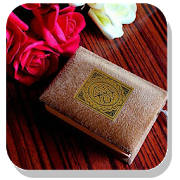 Daily Quran Quotes Daily Quran Quotes