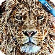 Lion Wallpaper HD Free Lion Wallpaper HD Free
