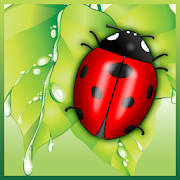 Save The Beetle