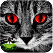 Povesti : Chat Stories