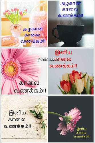 【图】Tamil Good Morning Images(截图 1)