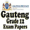 Grade 12 Gauteng Past Papers