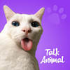 Talking Animals – Funny Voices