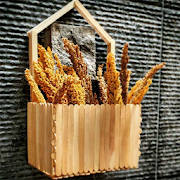 craft sticks craft sticks