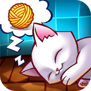 Wake the Cat Wake the Cat