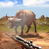 Wild Animal Deer Hunting Games