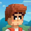 VoxelPG