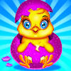 Chicken Care and Daycare Chicken Care and Daycare