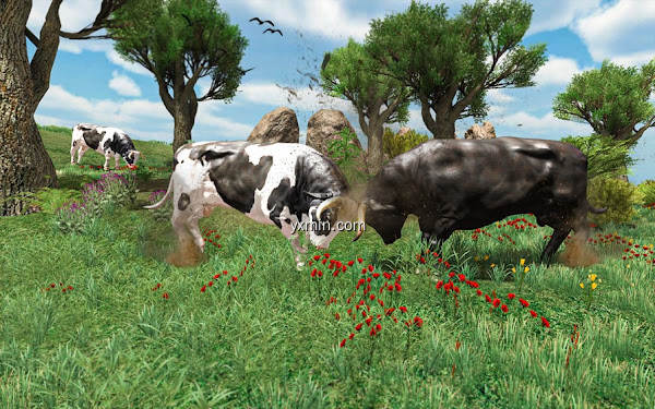 【图】Angry Bull Attack Wild Sim 3d(截图2)