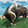 Angry Bull Attack Wild Sim 3d