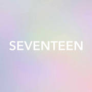 SEVENTEEN LIGHT STICK VER2( 세븐틴 라이트 스틱 버전2 )