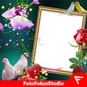 Love Birds Insta DP : Bird DP