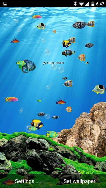 【图】Aquarium Live Wallpaper(截图2)
