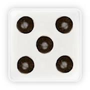 Dice
