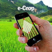 ECrop ECrop
