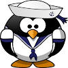 Dinghy Sailing Race Control