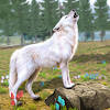 Real Wolf Simulator Wolf Games