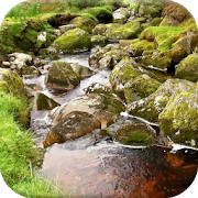 River Video Live Wallpaper