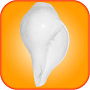 Shankh – Shell Shankh – Shell
