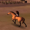 Horse Riding Horse Riding