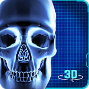 Simulador de esqueleto humano en 3D