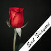 Sad Shayari in Hindi – Sad Sta