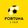 Niké liga