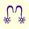 MEDIKQUIZ -ENAM RESIDENCIA MIR