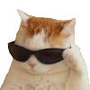 WAStickerApps Stickers Cats WAStickerApps Stickers Cats
