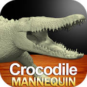 Crocodile Mannequin Crocodile Mannequin