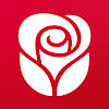 American Greetings Ecards American Greetings Ecards