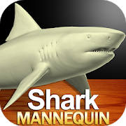 Shark Mannequin Shark Mannequin