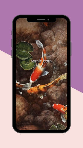 【图】Koi Fish Live Wallpaper(截图1)