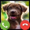 Fake Call Puppy Game
