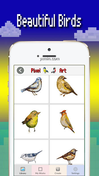 【图】Birds color by number pixel art(截图 1)