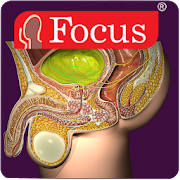 Urology – Medical Dictionary