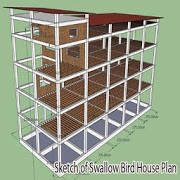 Sketch of Swallow Bird House Plan Sketch of Swallow Bird House Plan