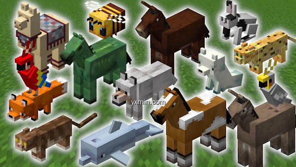 【图】Animal Мods for Minecraft PE(截图2)