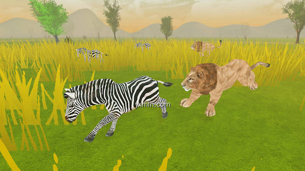 【图】Real Zebra : Zebra Games(截图 0)