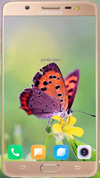 【图】Butterfly Wallpaper HD(截图1)