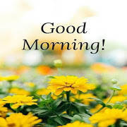 Good Morning video wishes Story status