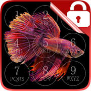 Betta Fish Lock Screen Betta Fish Lock Screen